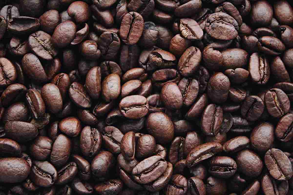 Gli italiani adorano sempre di più gli specialty coffee