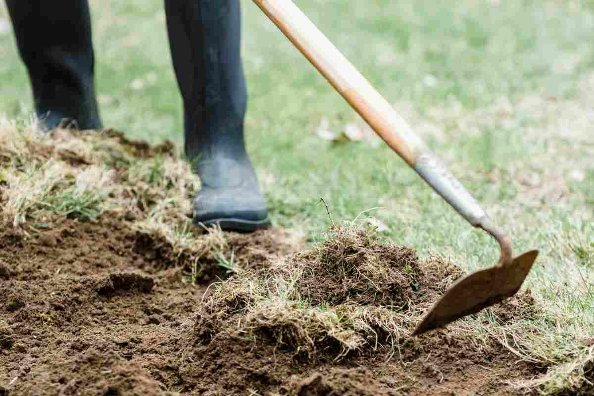 Come preparare il giardino all'arrivo della primavera